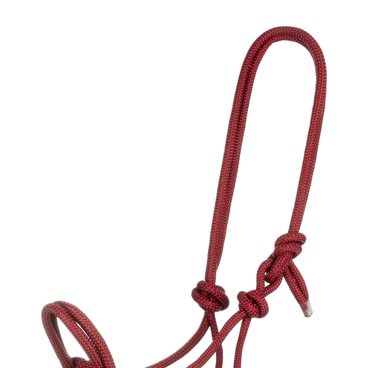 Pool's knot halter with lead CA00128