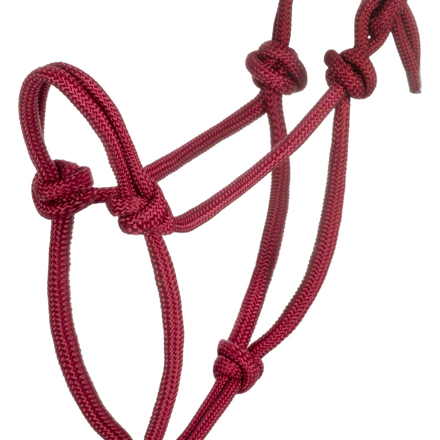 Pool's knot halter with lead CA00128