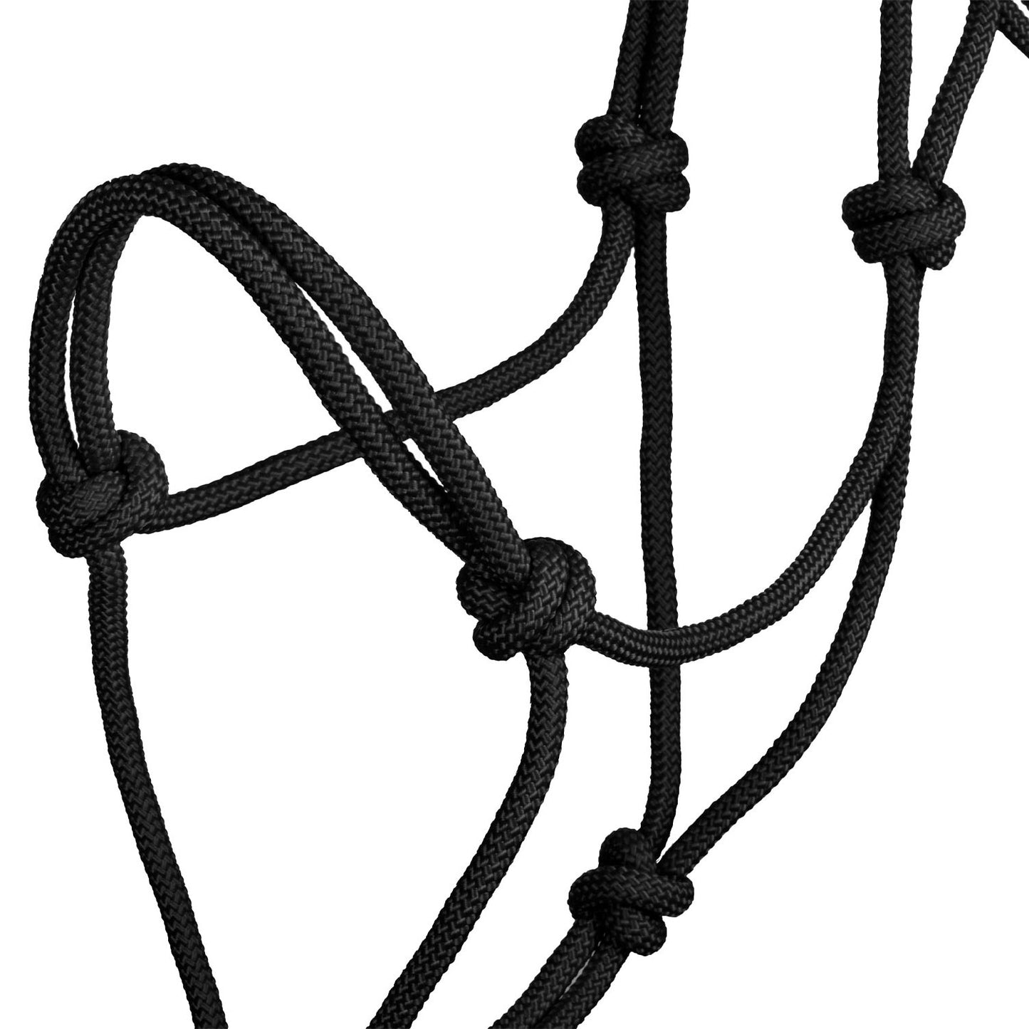Pool's knot halter CA00129
