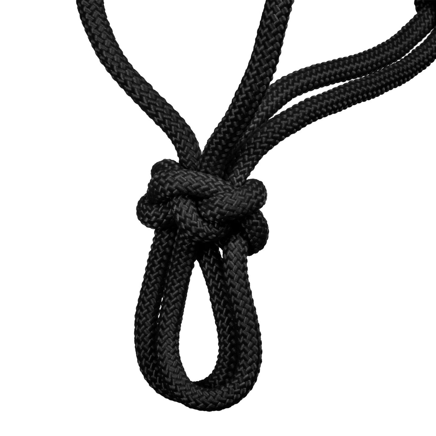 Pool's knot halter CA00129