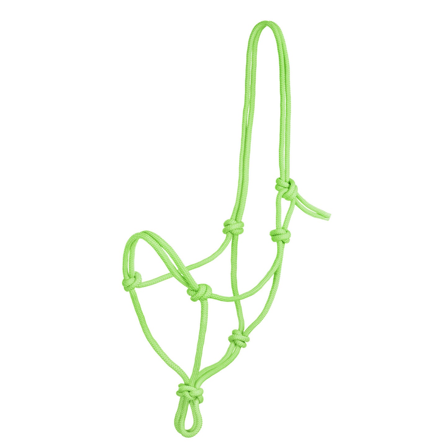 Pool's knot halter CA00129