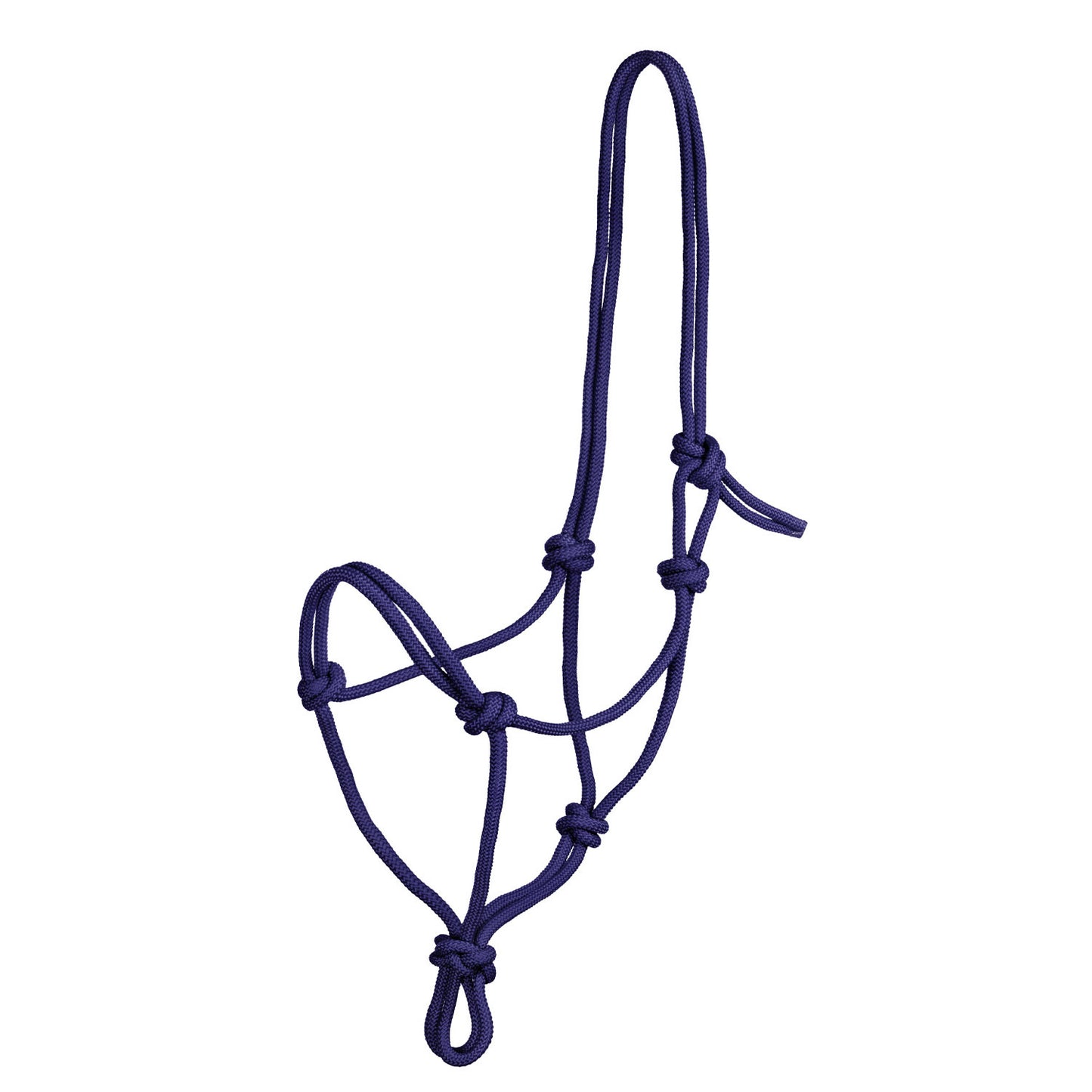 Pool's knot halter CA00129