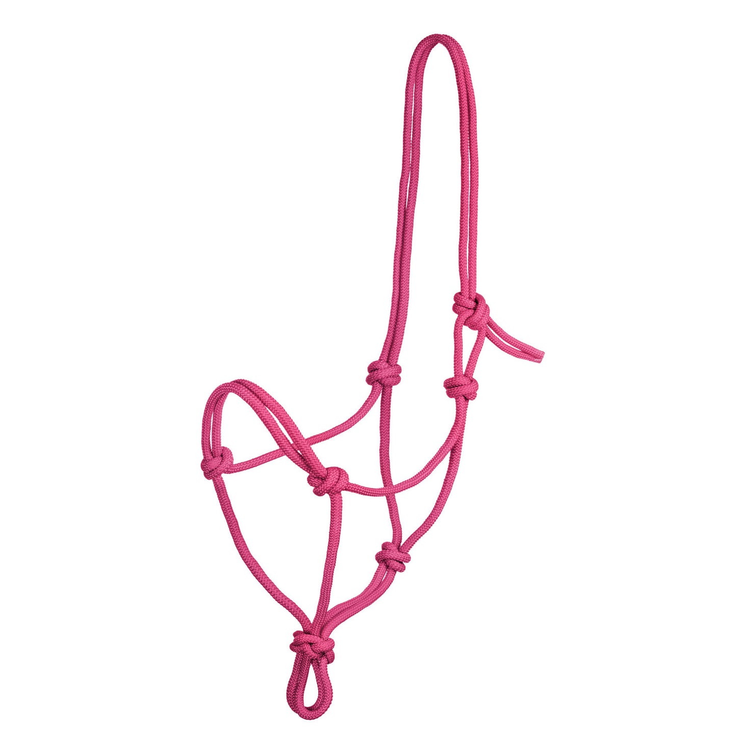 Pool's knot halter CA00129