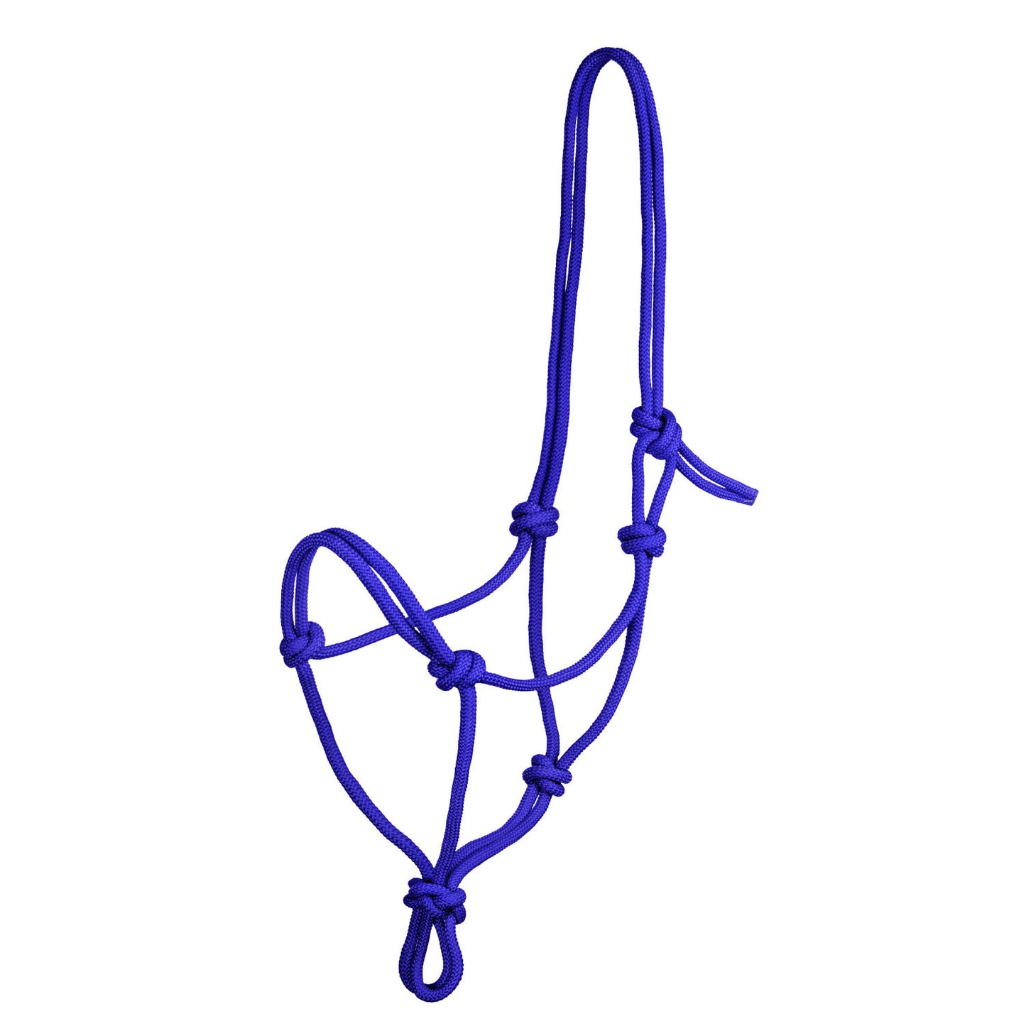 Pool's knot halter CA00129