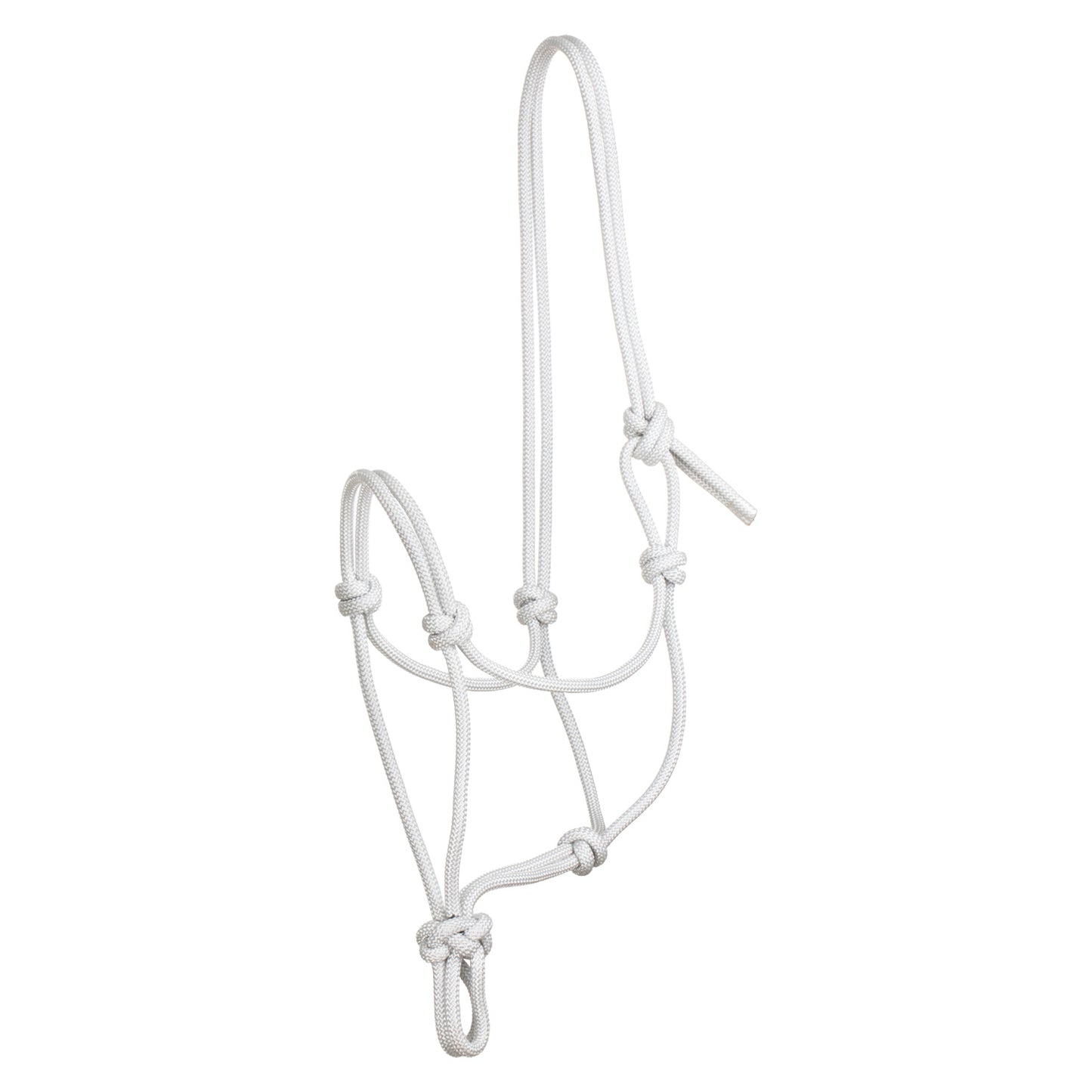 Pool's knot halter CA00129