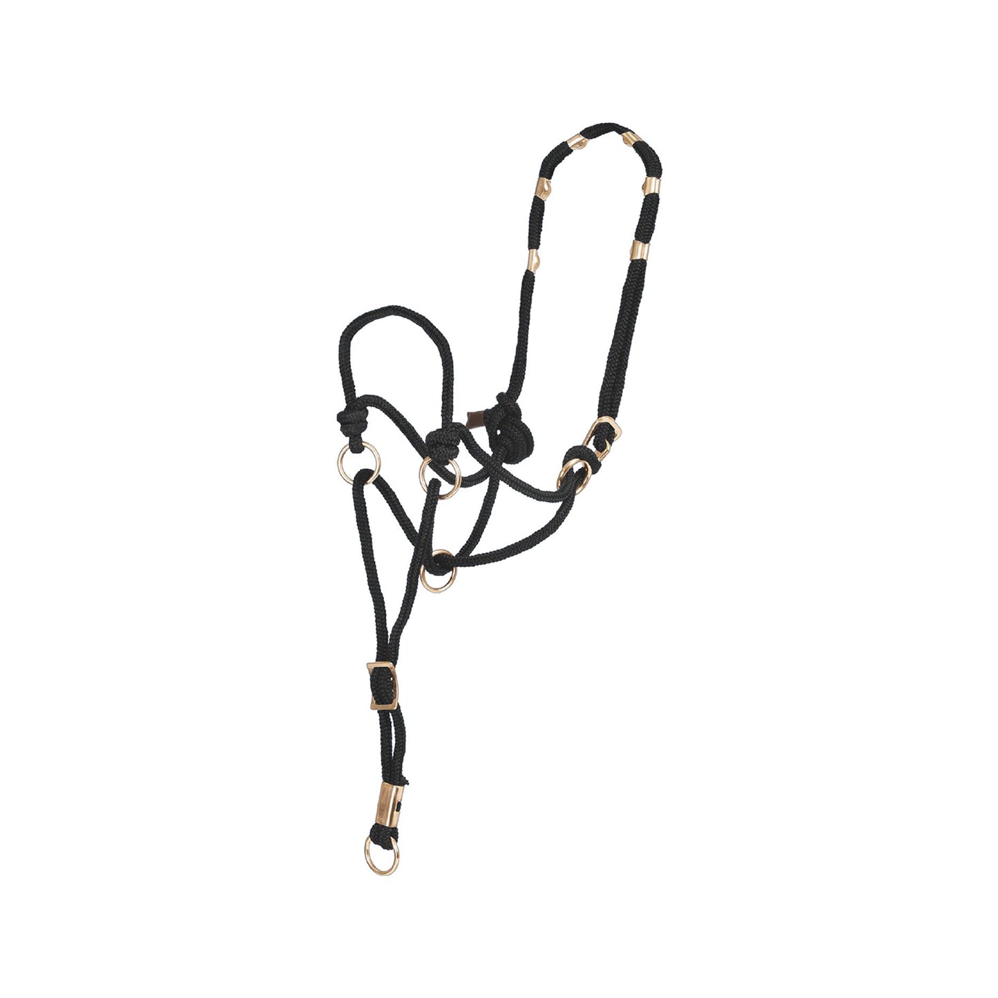 Pool's direction halter CA00150