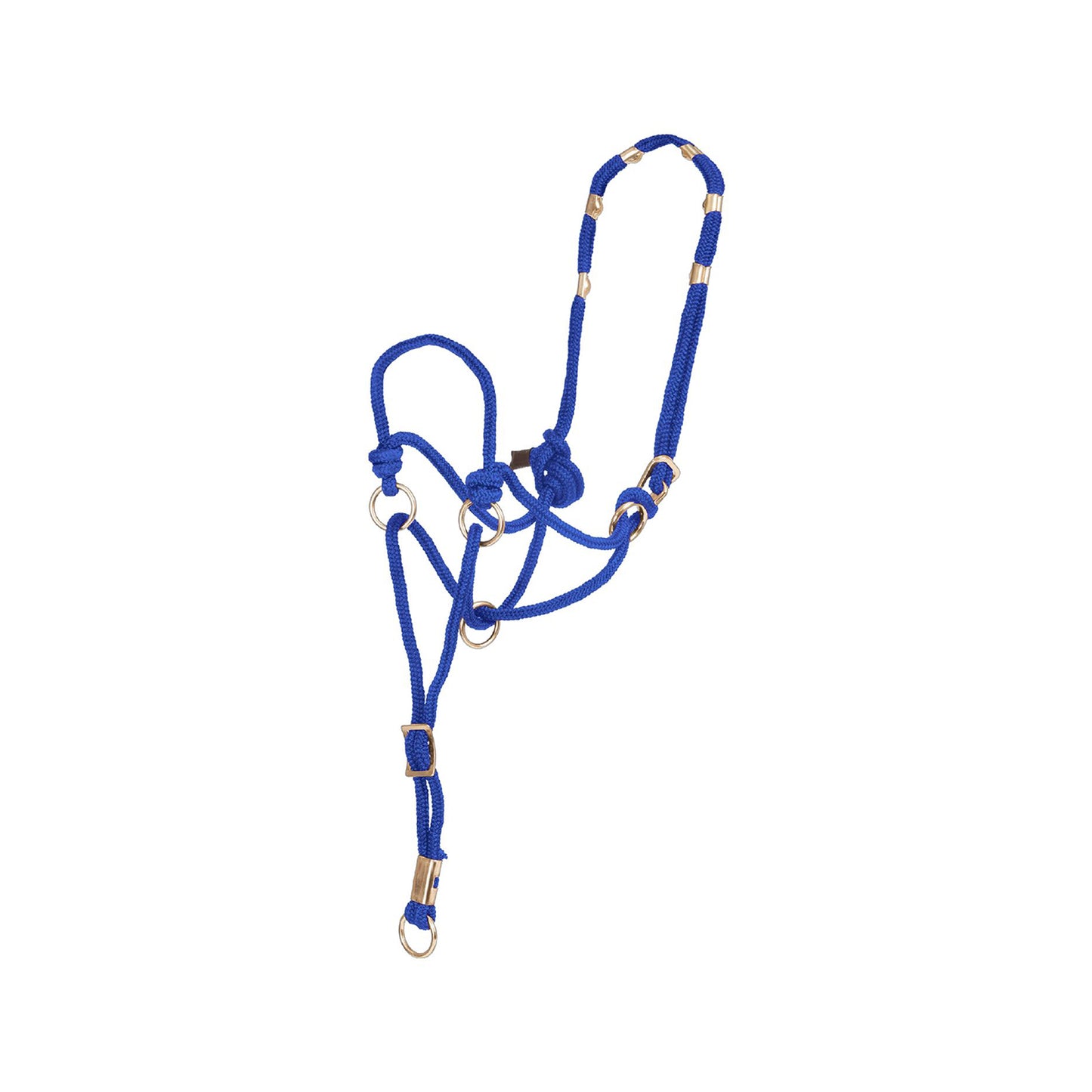 Pool's direction halter CA00150