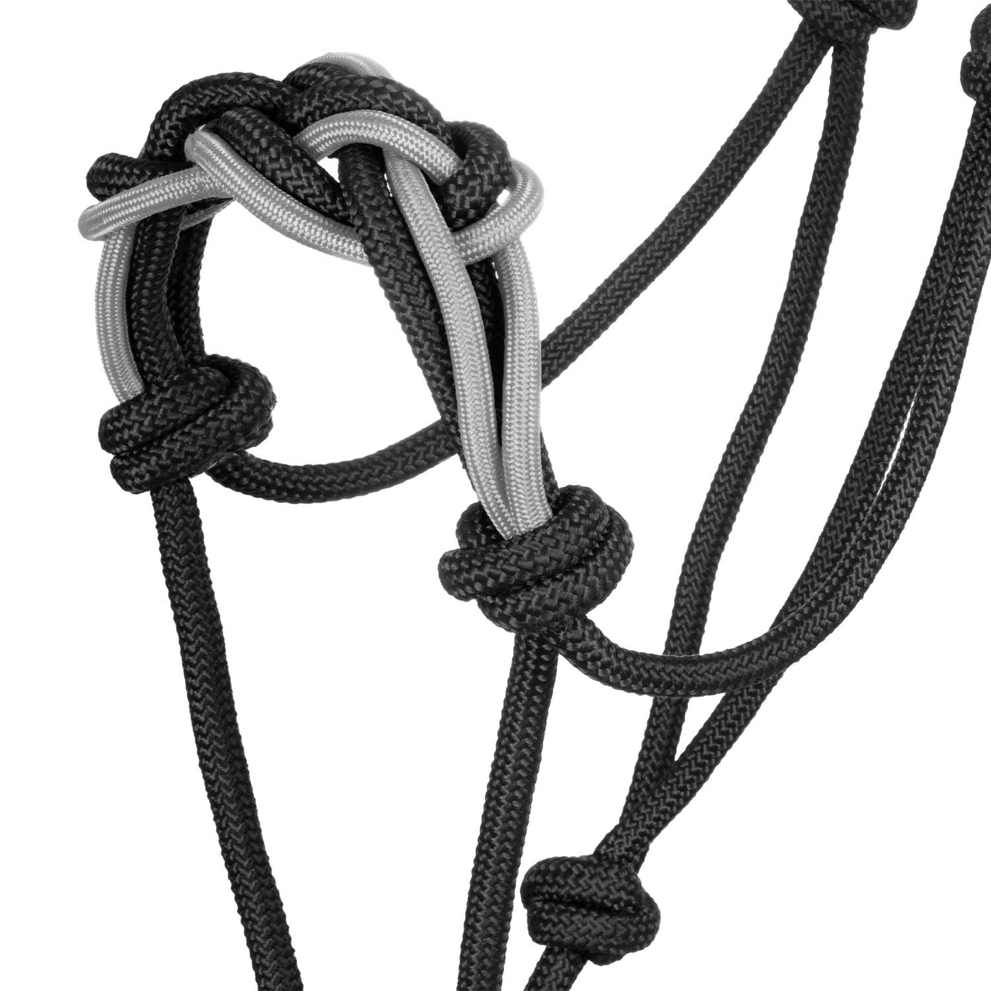 Pool's halter with braided rope on the nose PLH03016