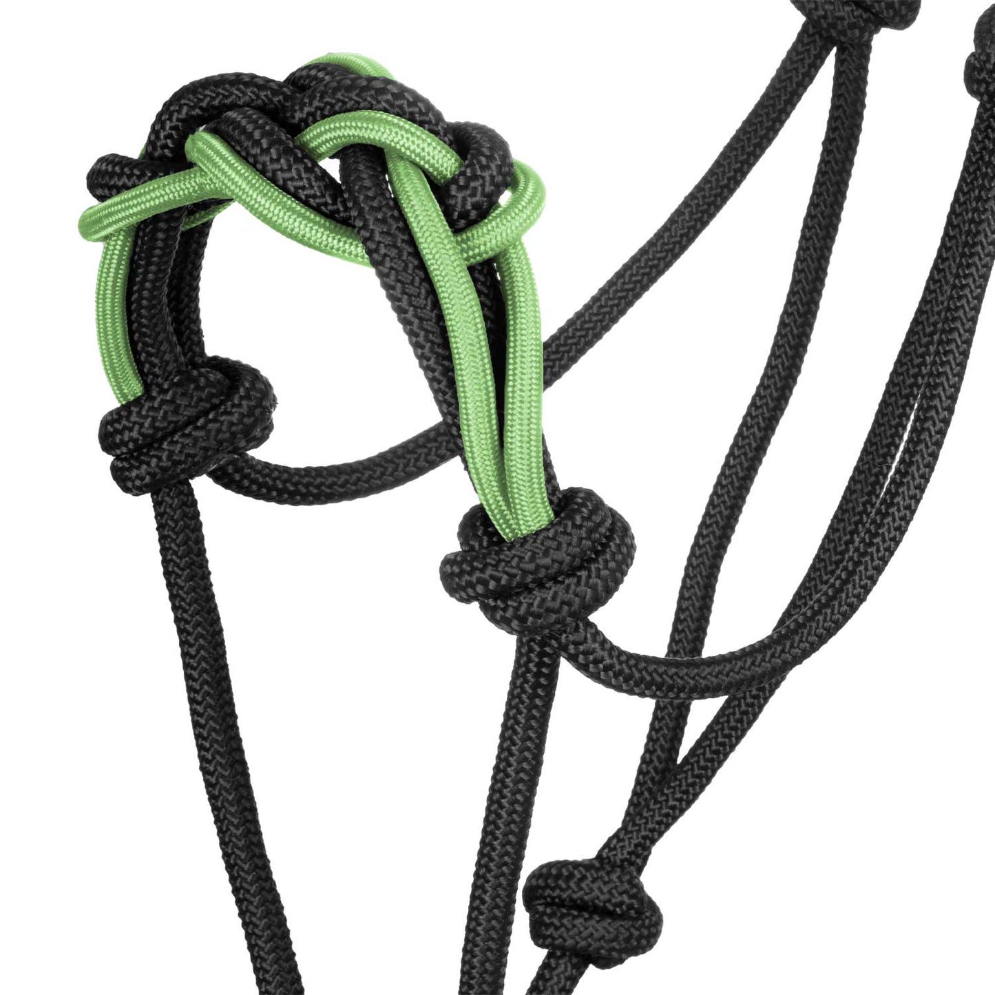 Pool's halter with braided rope on the nose PLH03016
