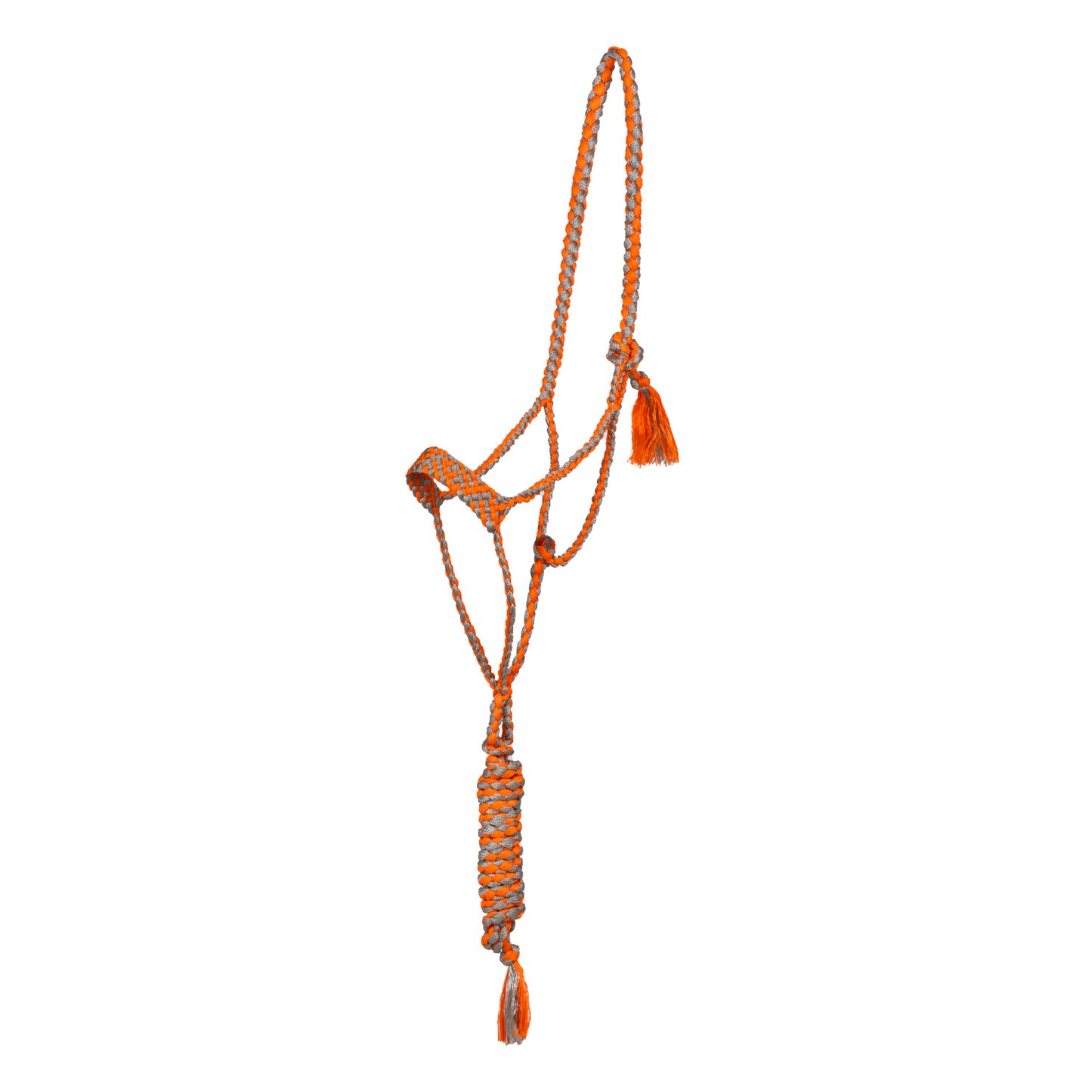 Pool's wide nose rope halter with lead PLH03018