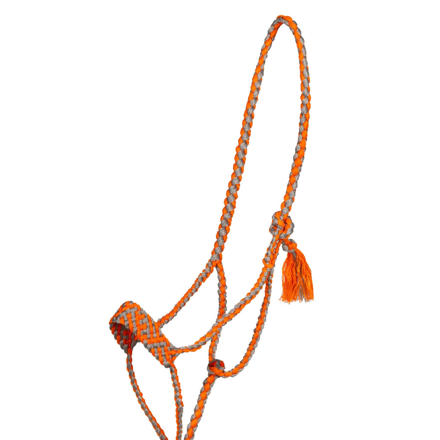 Pool's wide nose rope halter with lead PLH03018
