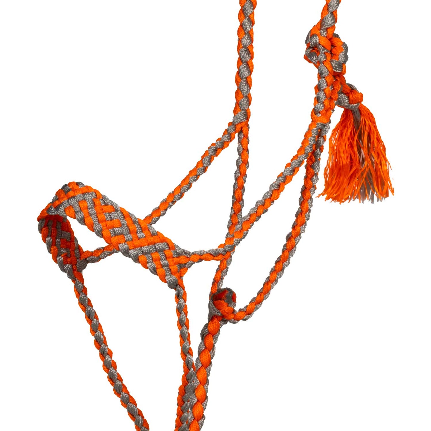 Pool's wide nose rope halter with lead PLH03018