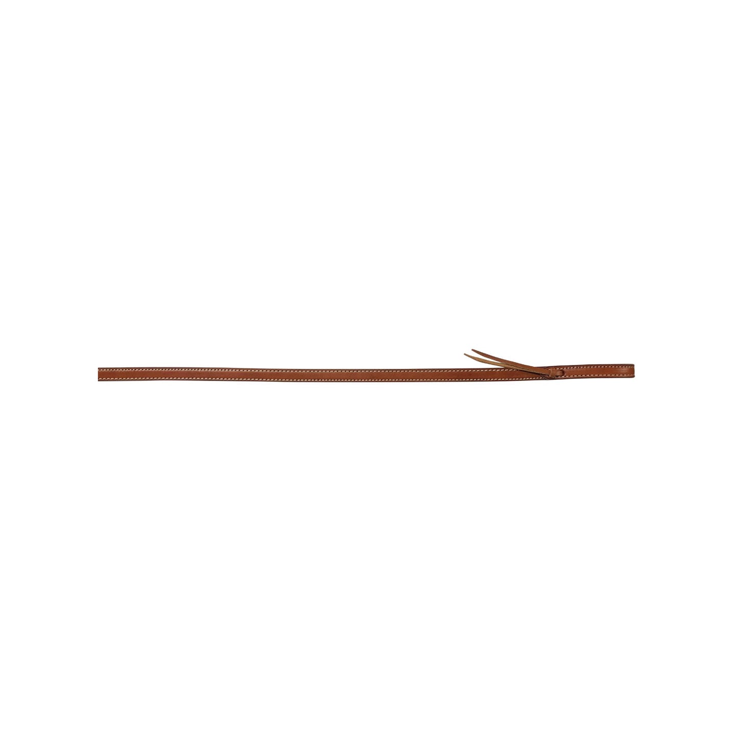 Pool's split reins PL00403