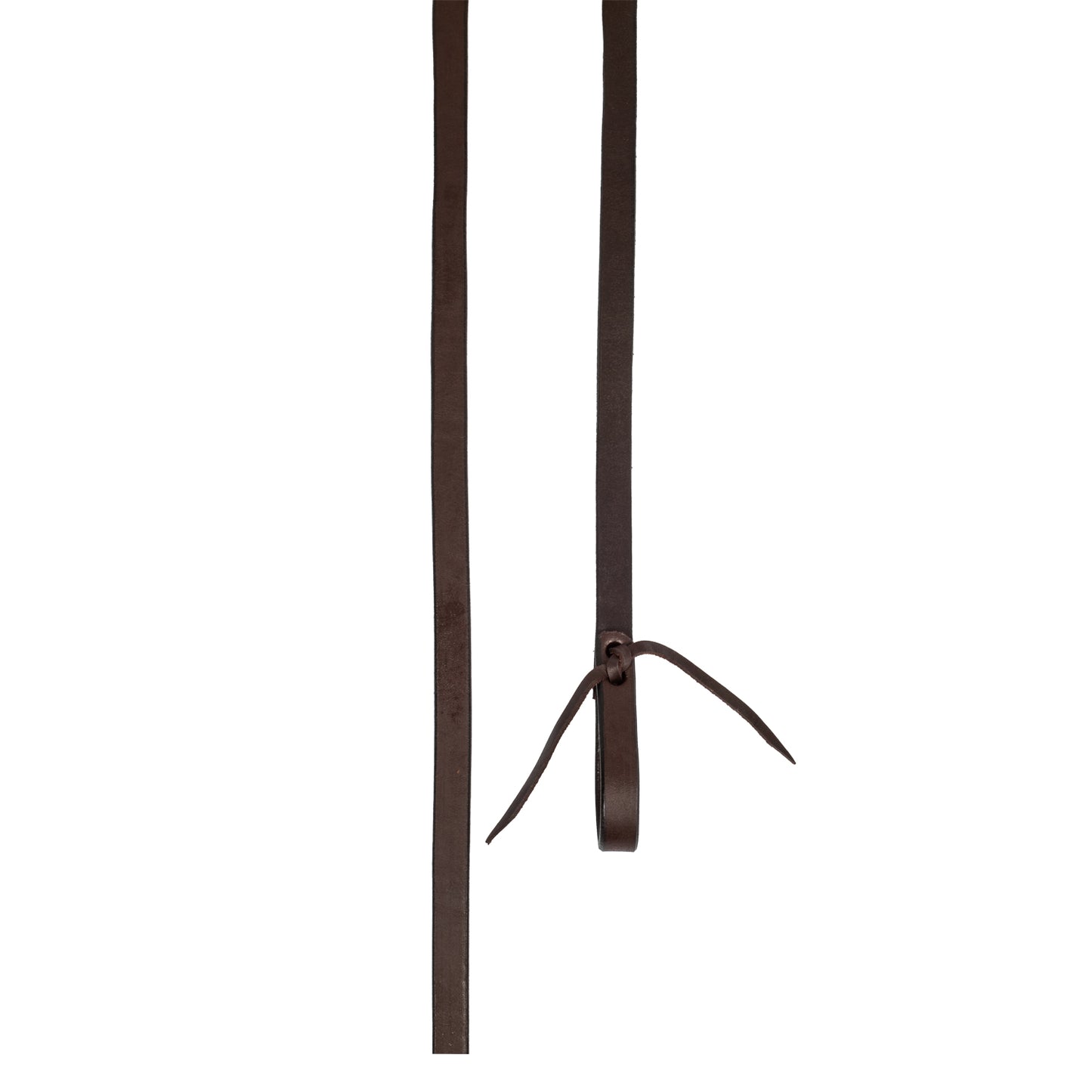 Pool's harness reins RE00054