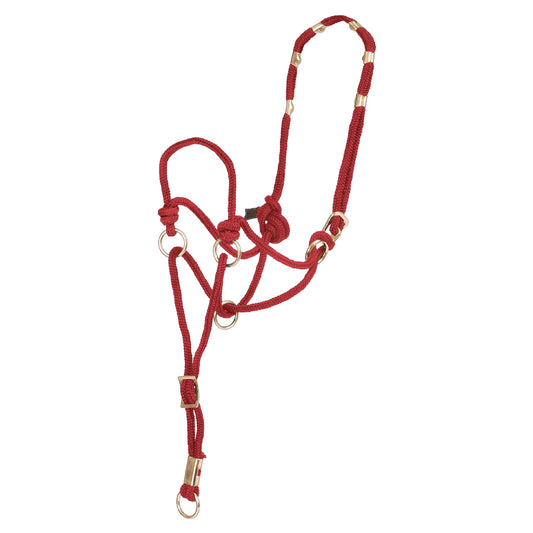 Pool's direction halter CA00150