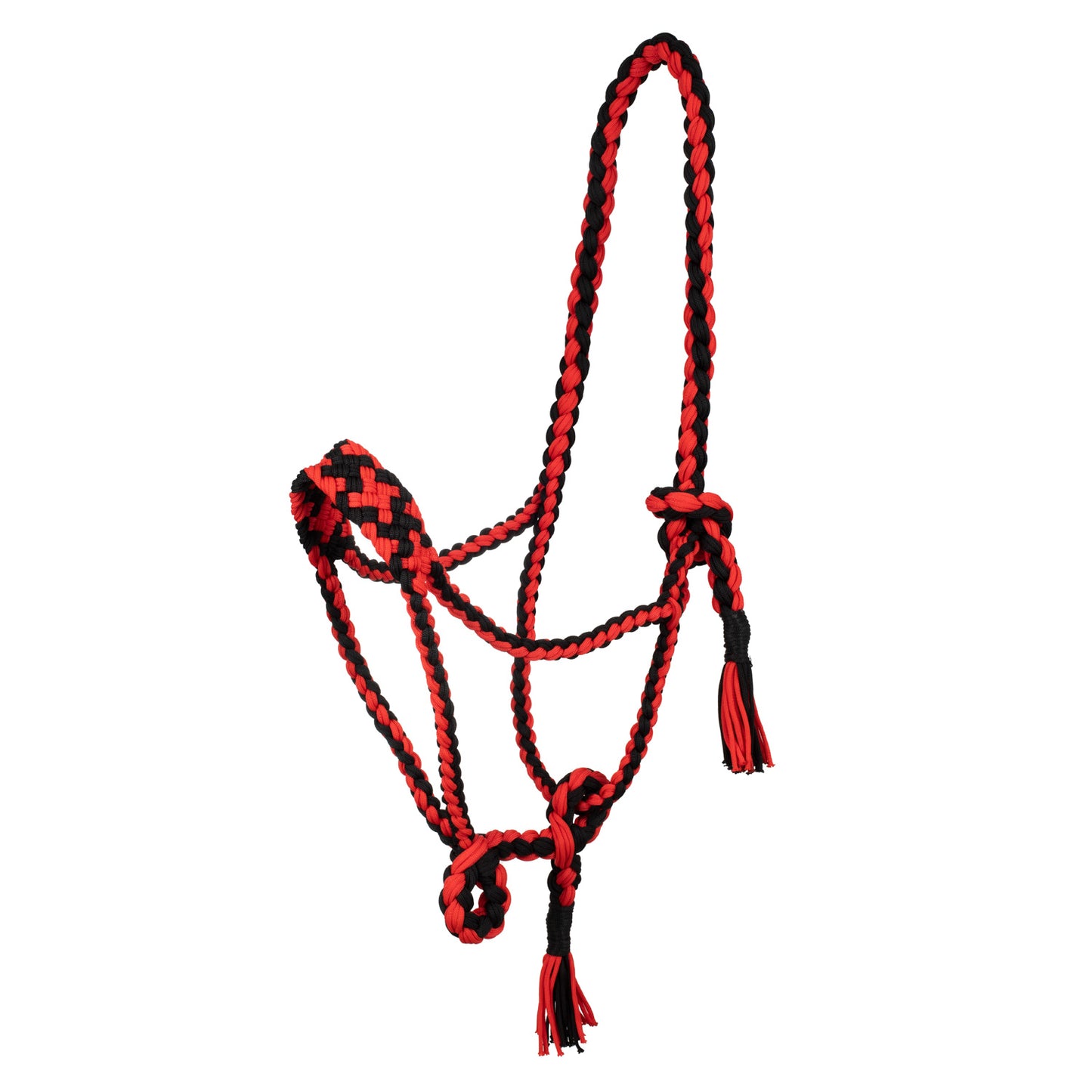 Pool's braided nylon halter PLH03002