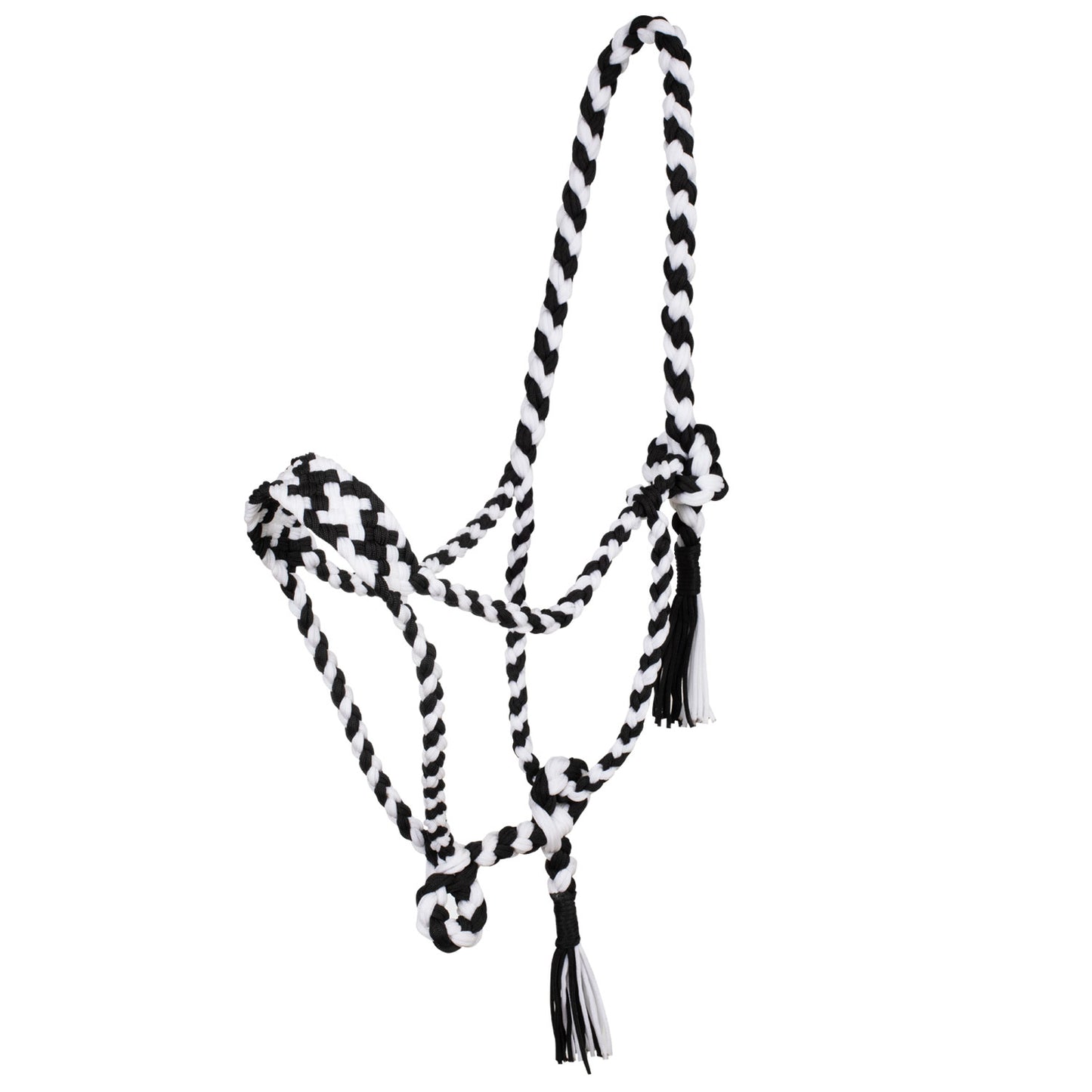 Pool's braided nylon halter PLH03002