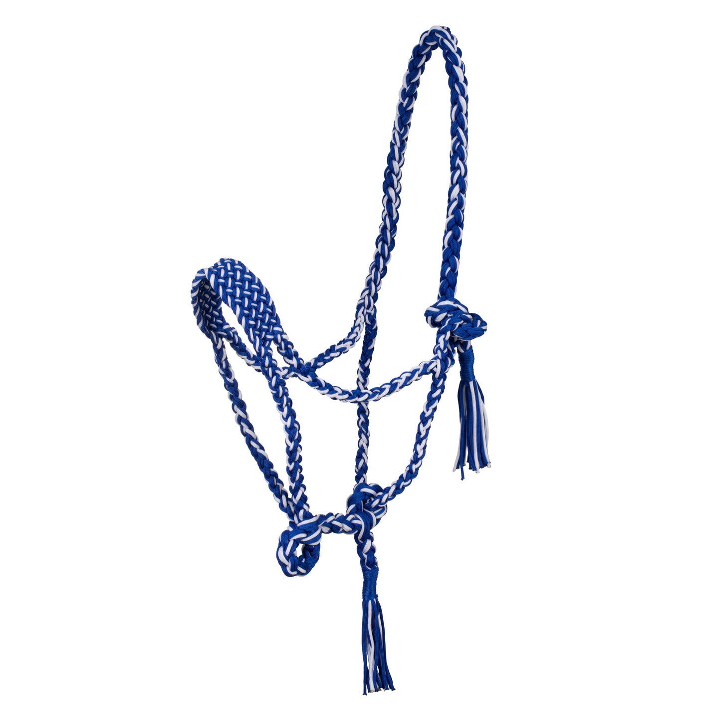 Pool's braided nylon halter PLH03002
