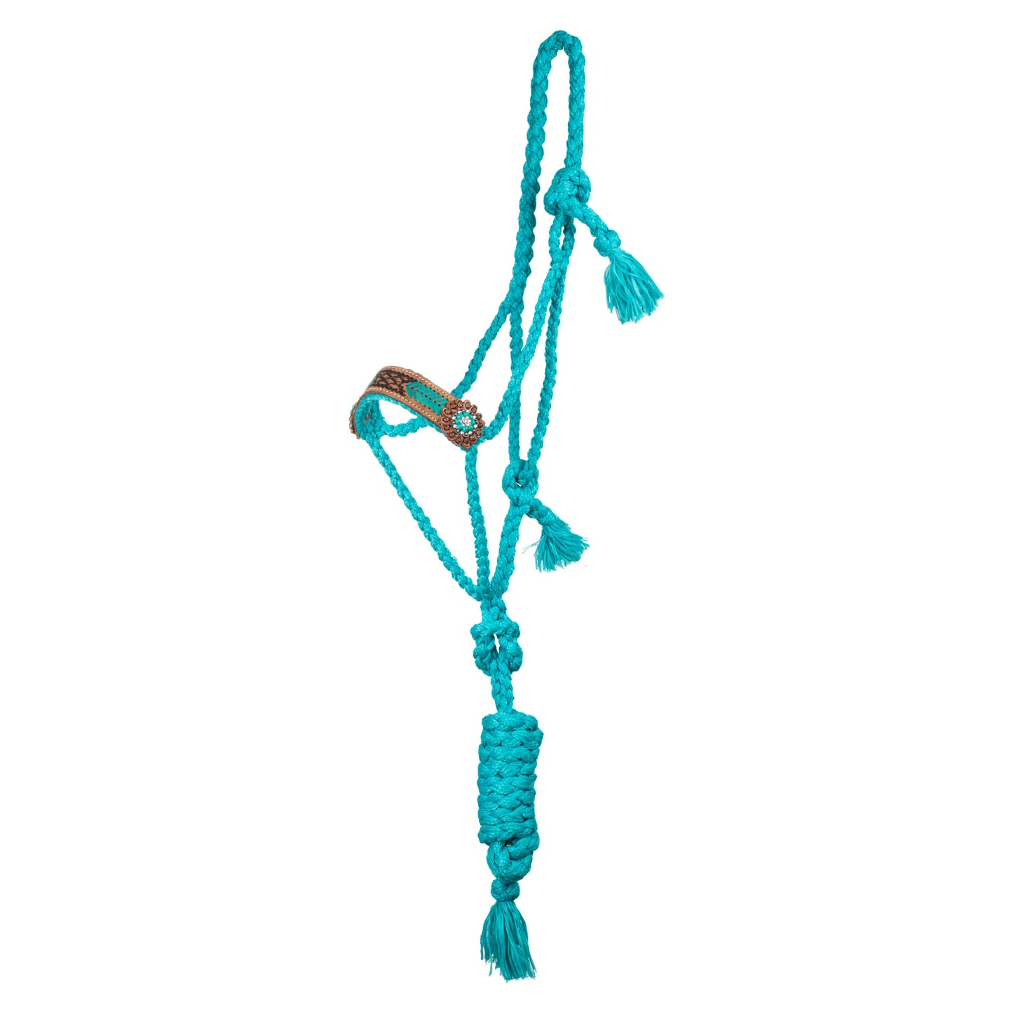 Pool's rope halter with  hand worked leather insert PLH03004