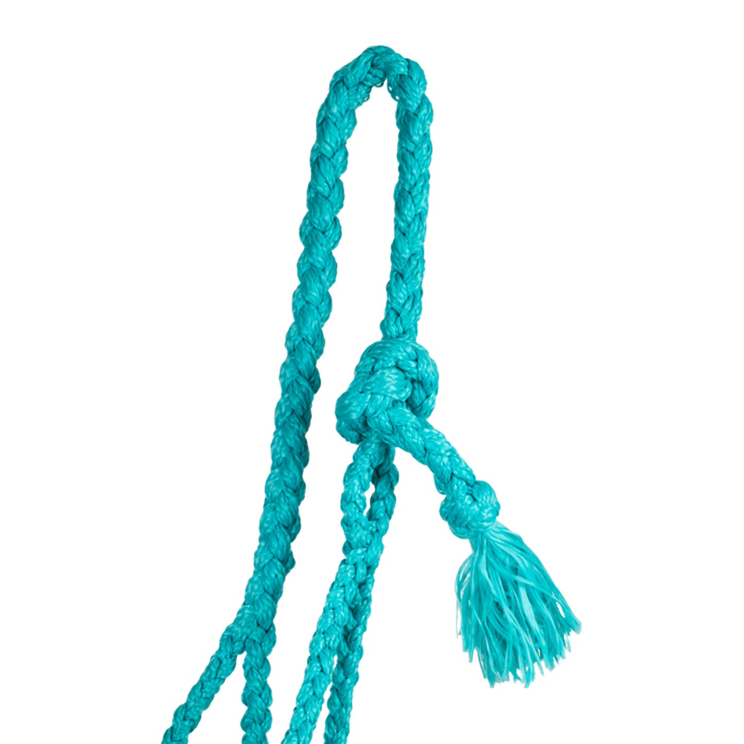 Pool's rope halter with  hand worked leather insert PLH03004