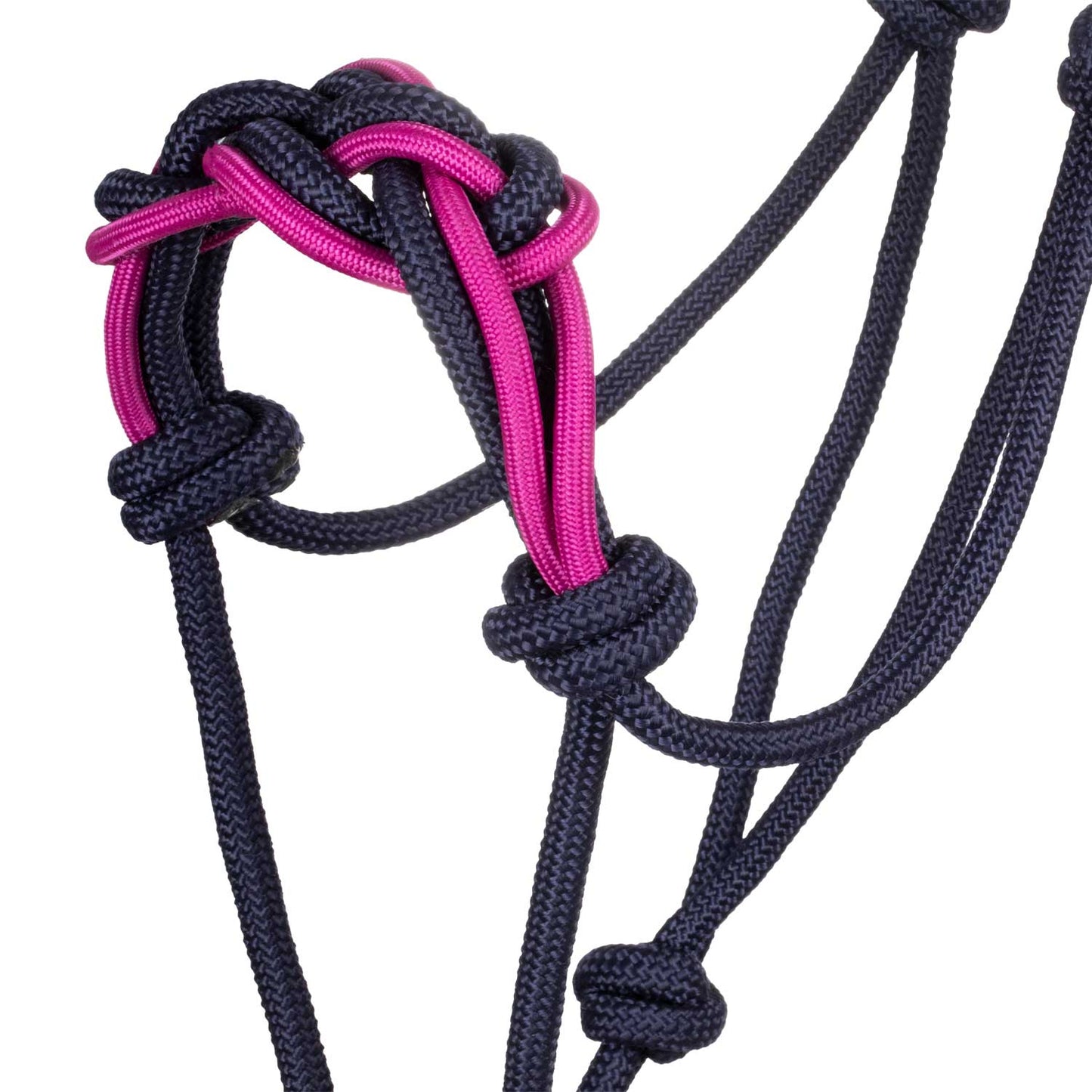 Pool's halter with braided rope on the nose PLH03016