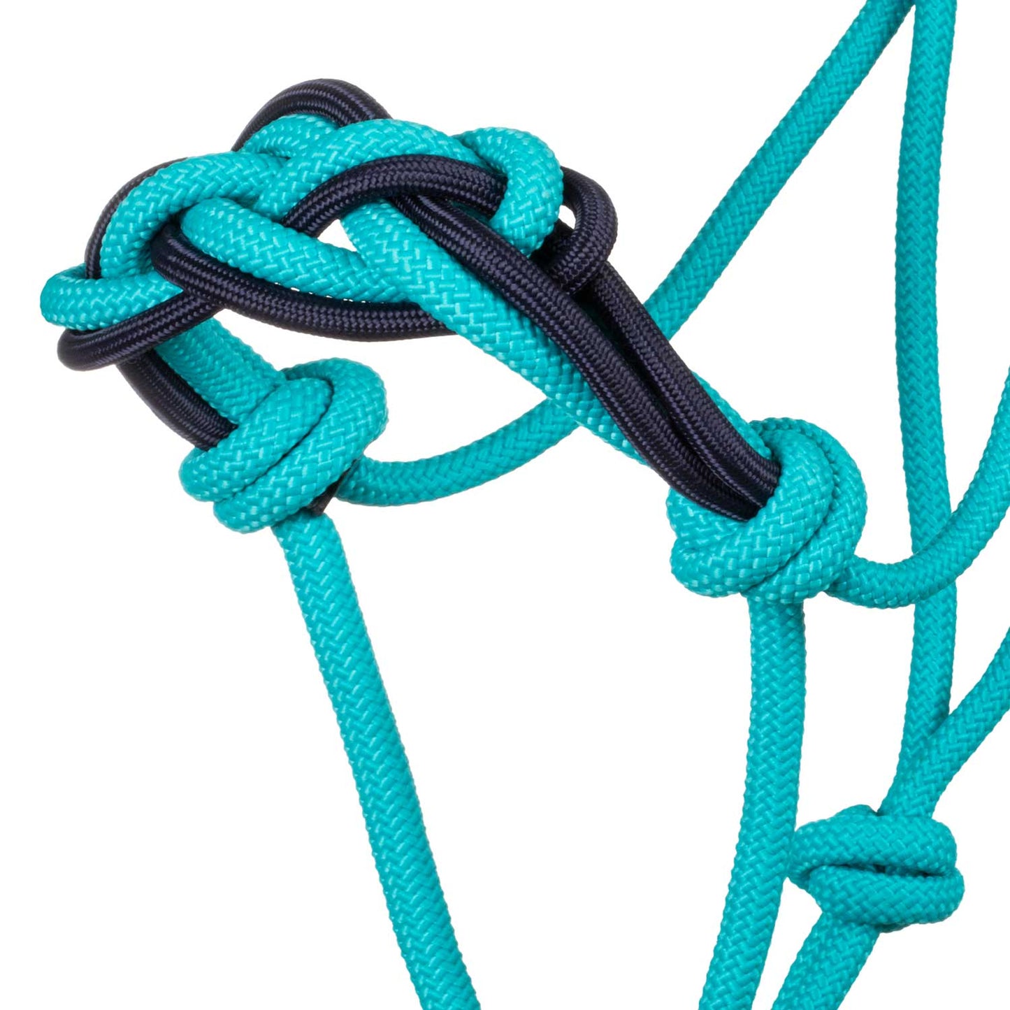 Pool's halter with braided rope on the nose PLH03016