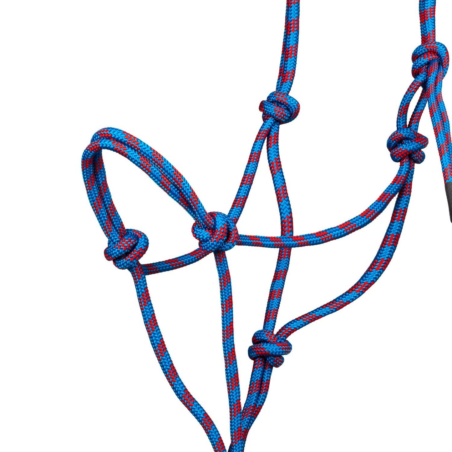 Pool's knotted rope halter with lead PLH03017