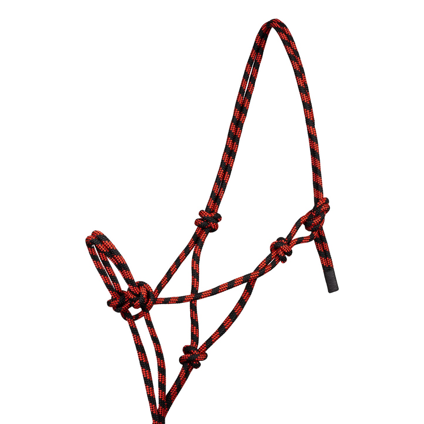 Pool's knotted rope halter with lead PLH03017