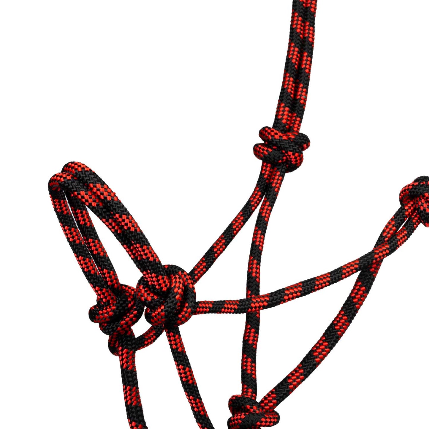 Pool's knotted rope halter with lead PLH03017