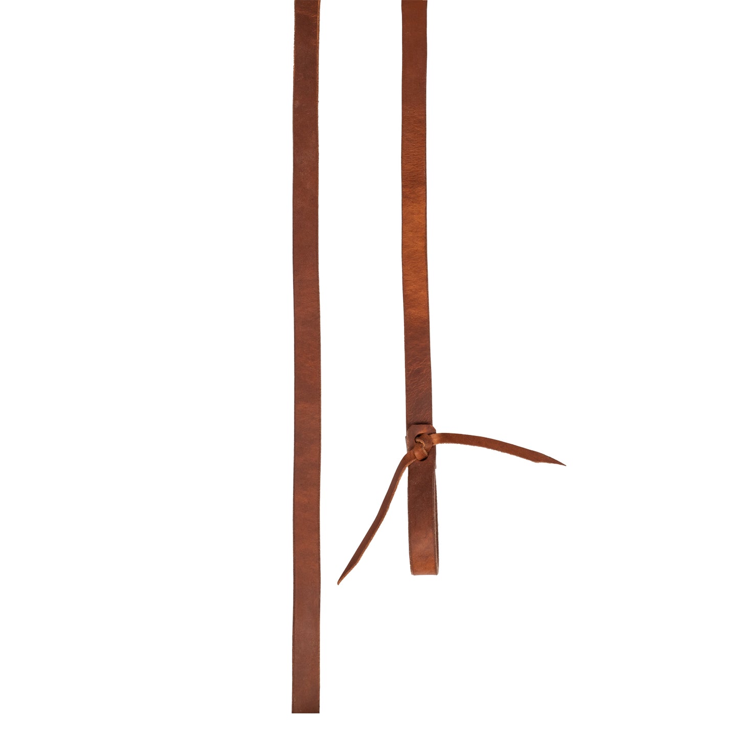 Pool's harness reins RE00054